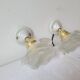 Duo of glass and porcelain flower wall lights