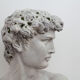 Buste sculpture de David