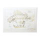 Original lithograph signed and numbered françois delaroziere, le poisson pirate, 2008