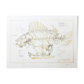 Lithographie originale signée et numérotée françois delaroziere, le poisson pirate, 2008