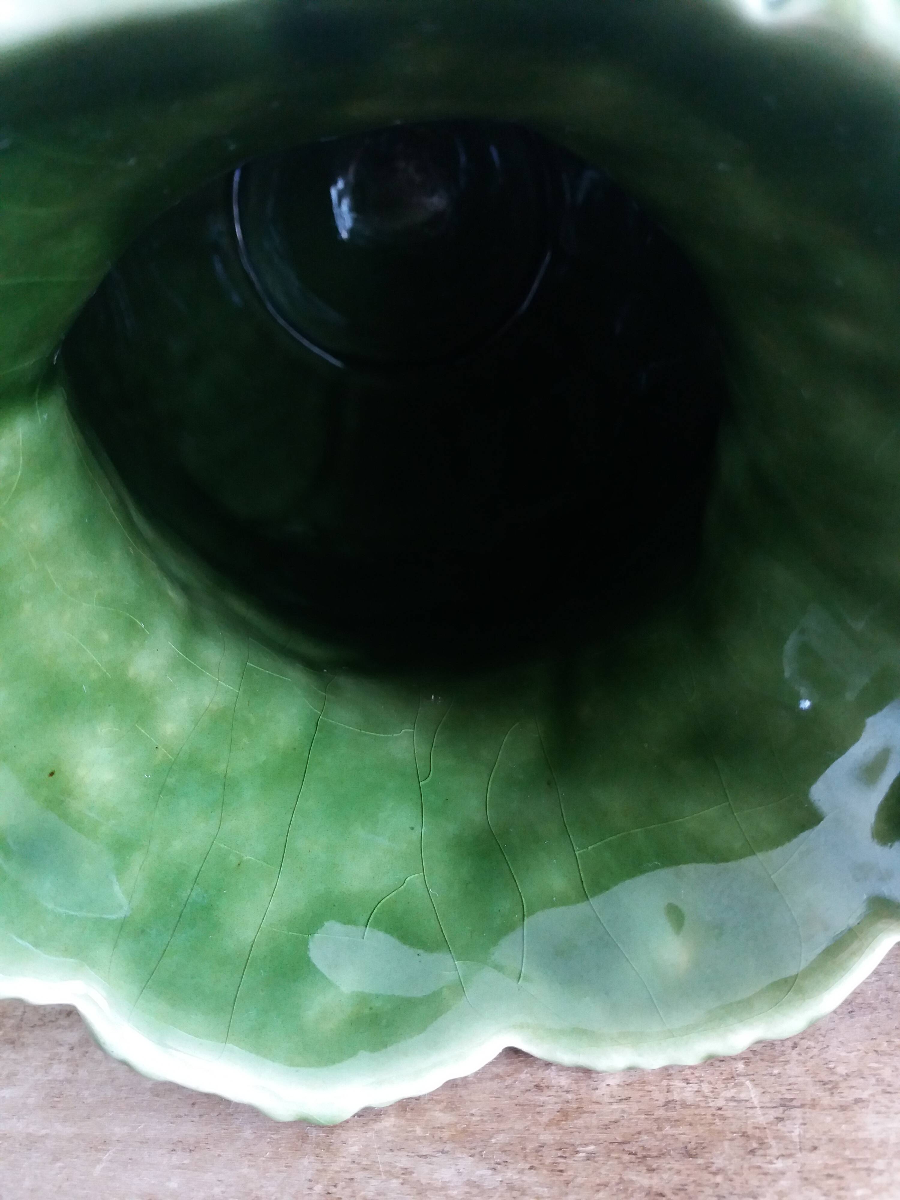 Cabbage pitcher in slip