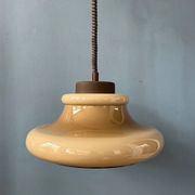 Mid Century Herda mushroom suspension