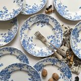 12 small flat plates "Campanule" Saint Amand and Hamage