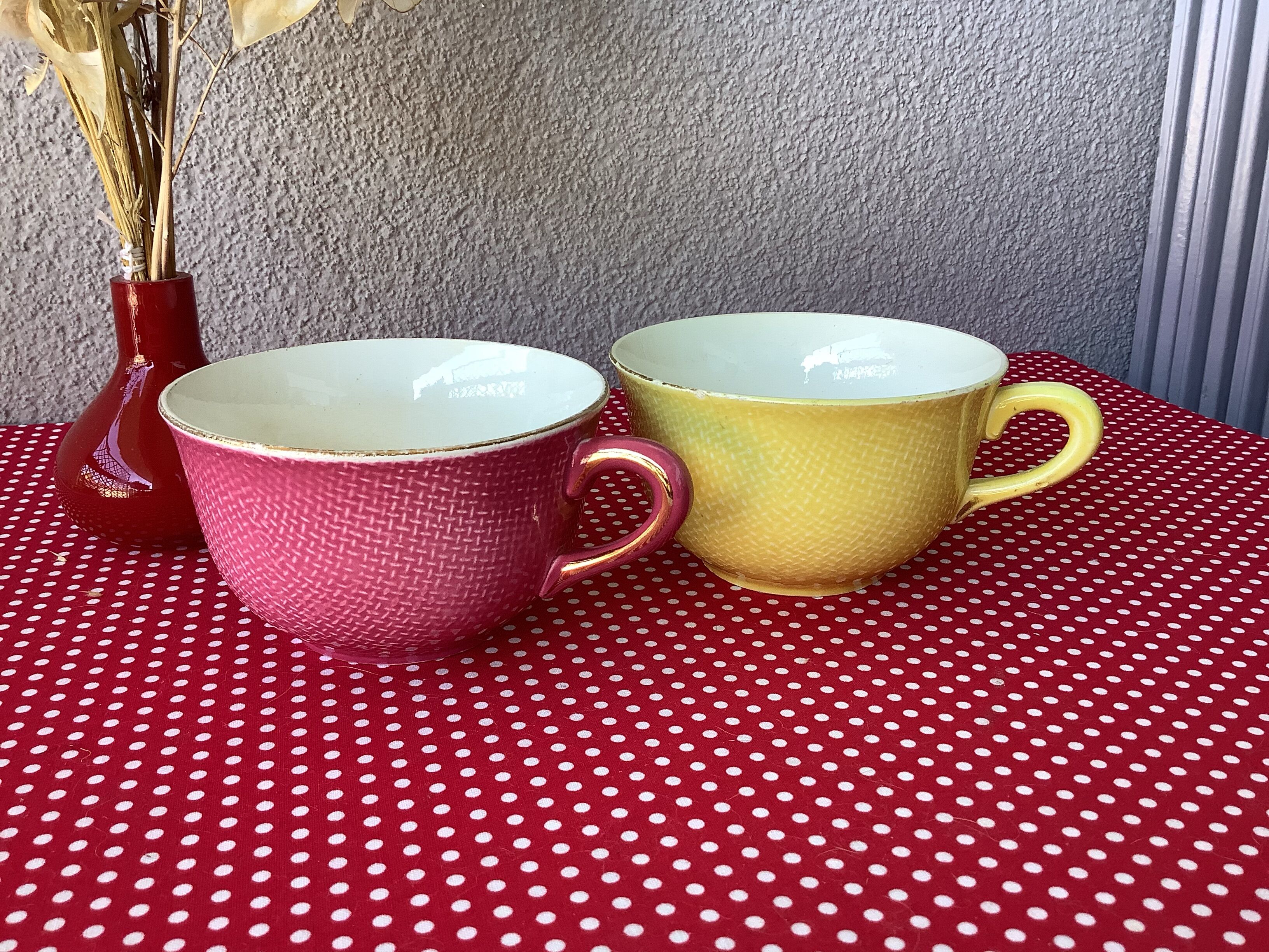 Salins France cups great model