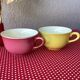 Salins France cups great model