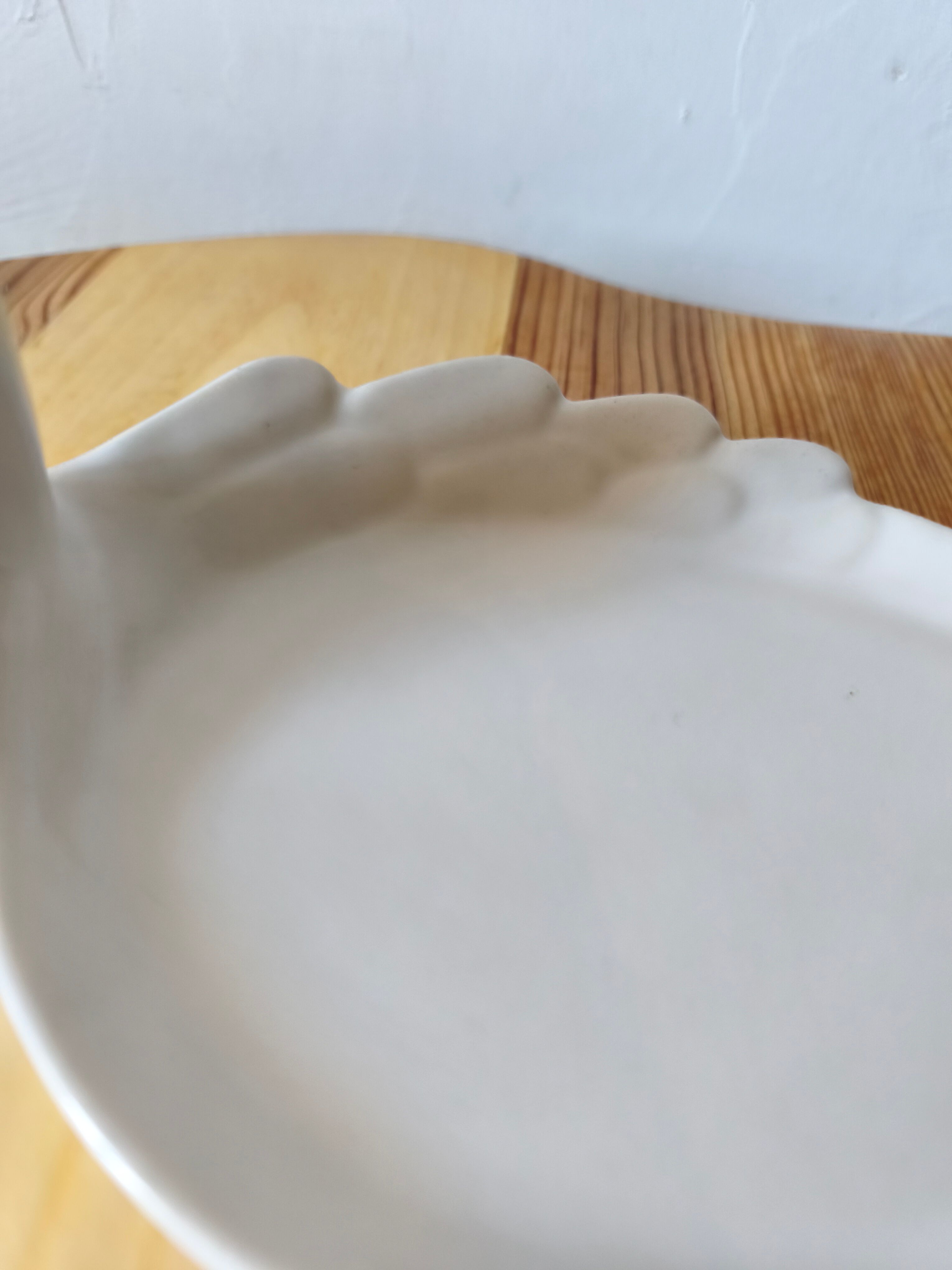 Vintage foie gras dish - duck - white ceramic