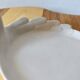 Vintage foie gras dish - duck - white ceramic