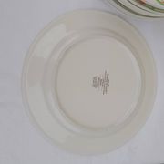 10 Villeroy & Boch vitro porcelain plates Miami model diam 23 cm
