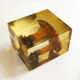 2 inclusions resin Mushrooms
