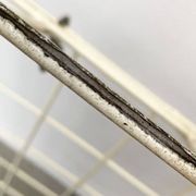 German minimalist Mid-Century coat rack in rope, 1960s