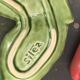 Ceramic salt shakers, slip in the shape of peppers.