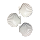 Three cups scallops in porcelain