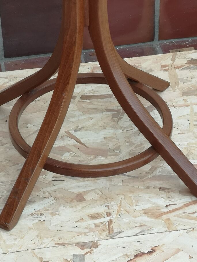 Baumann parrot coat holder