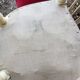 Velvet medallion chairs