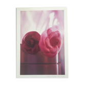 Photo Chanel par Karl Lagerfeld