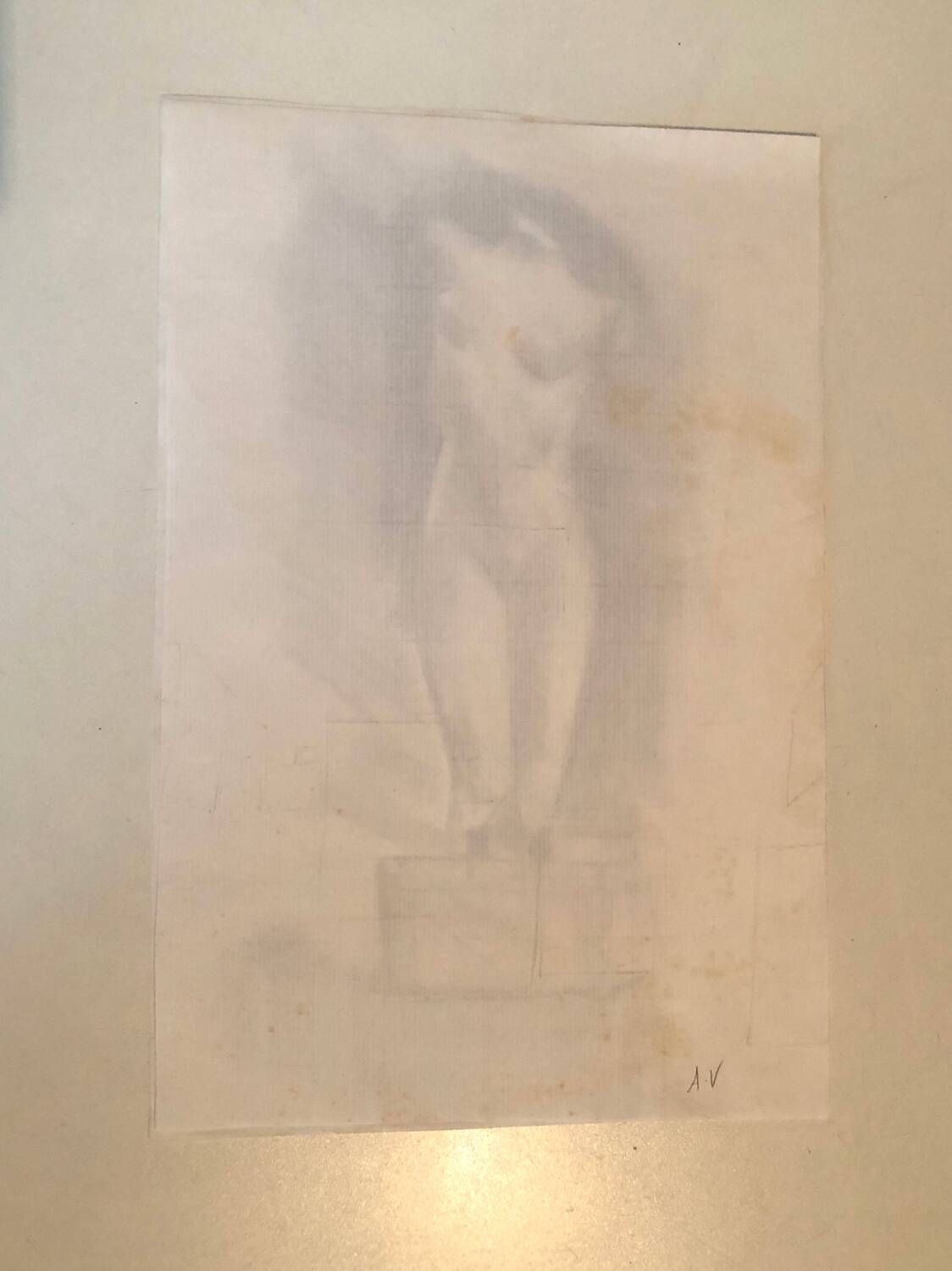 Illustration "Venus" Charcoal