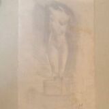Illustration "Venus" Charcoal
