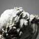 Antique white plaster bust of Louis XIV after Gole & Le Brun