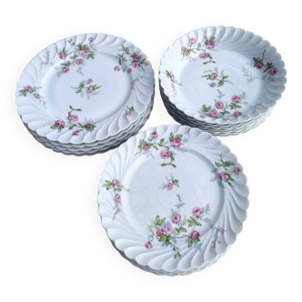 Ensemble de 18 assiettes en porcelaine Haviland - modèle Sylvie