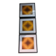 Optical Art Triptych - 3 Vintage Paintings - Victor Vasarely - Frames