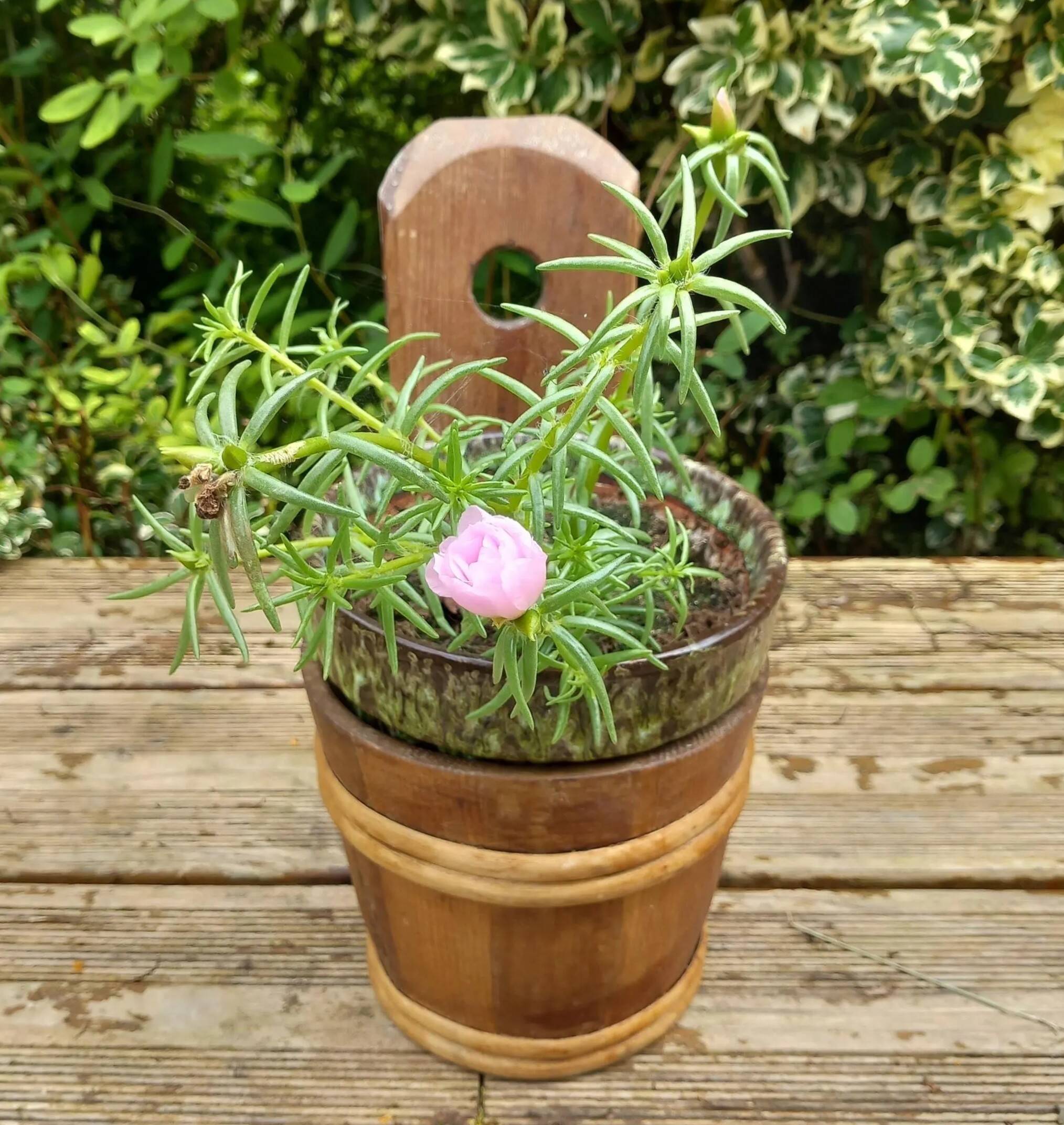 Wooden flowerpot to hang or place
