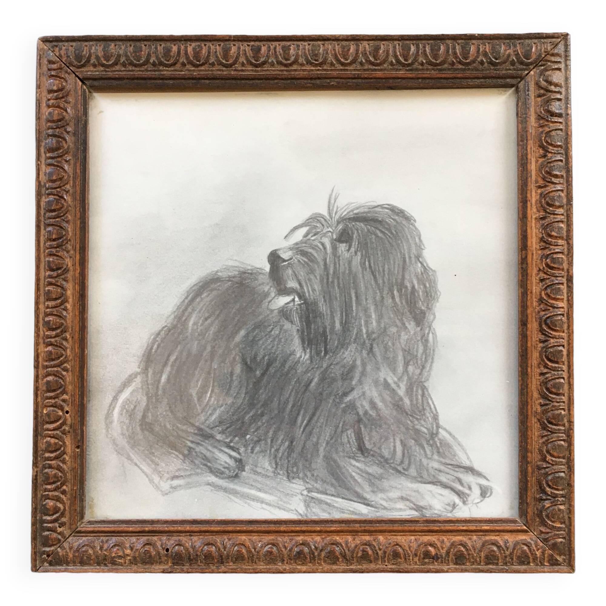 Dog charcoal drawing framed