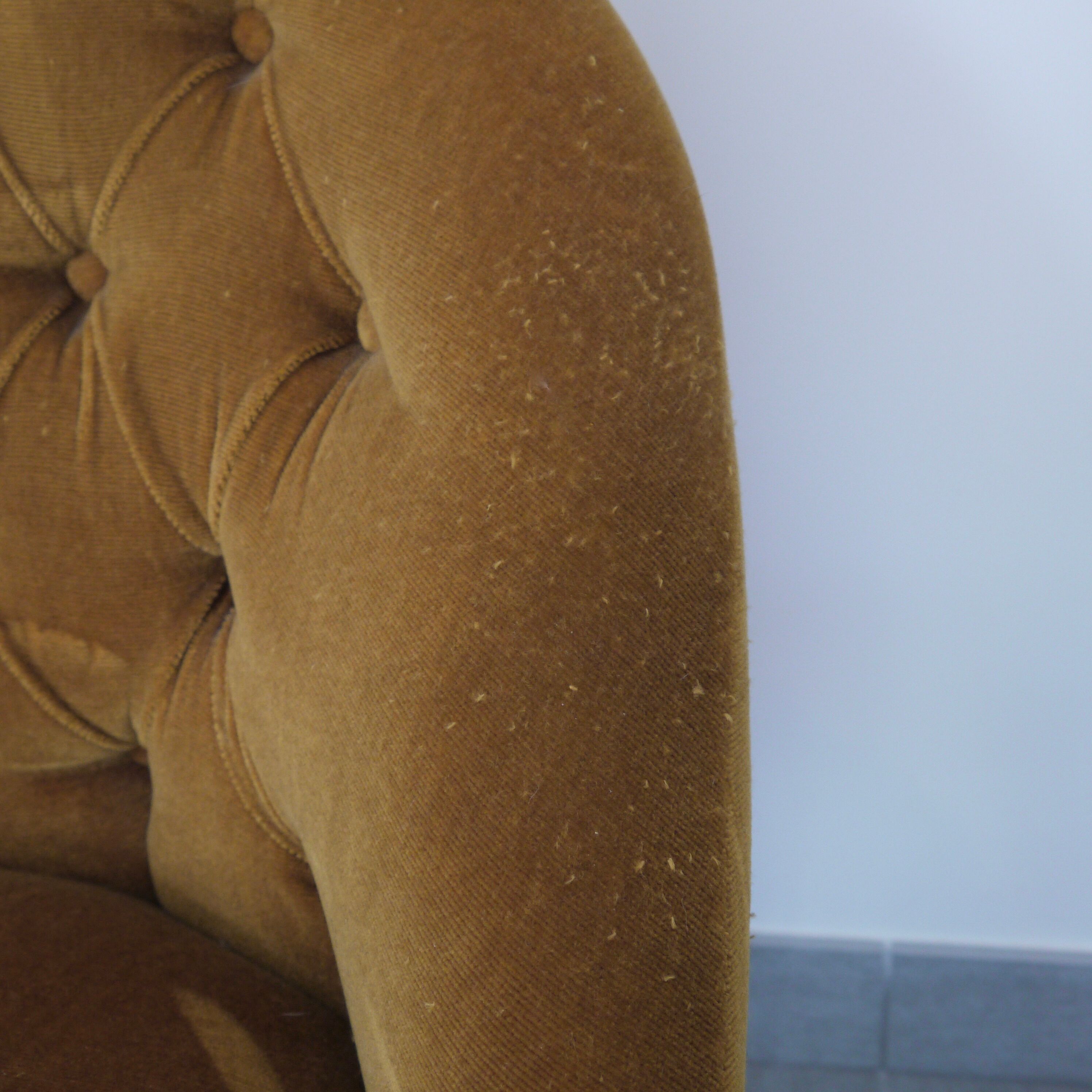 Yellow velvet padded toad armchair
