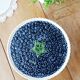 Pie dish on foot, in slip with blackberry decoration