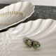 porcelain shell bowls, empty pocket