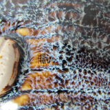 ceramic crab shell empty pocket