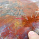 Red petrified wood coffee table from Arizona: 114x88cm