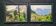Pair of post-impressionist paintings signed BERJONNEAU, oil on cardboard.