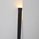 Black lacquered metal floor lamp, Italian work 1980
