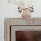 Armoire parisienne vitrée art-déco
