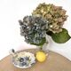 Decorative flower saucer from the 60s