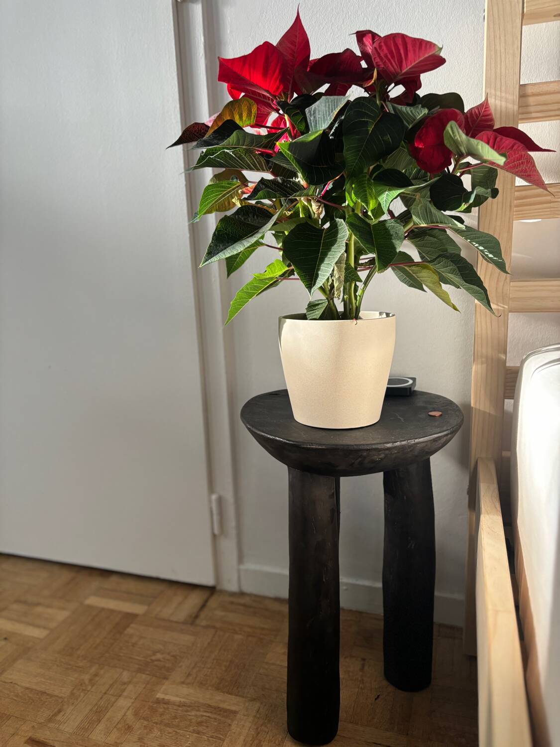 Set of 5 Senoufo tripods