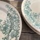 8 Terre de fer plates Anémones Bertrand Bordeaux old in green ceramic decorated with flowers