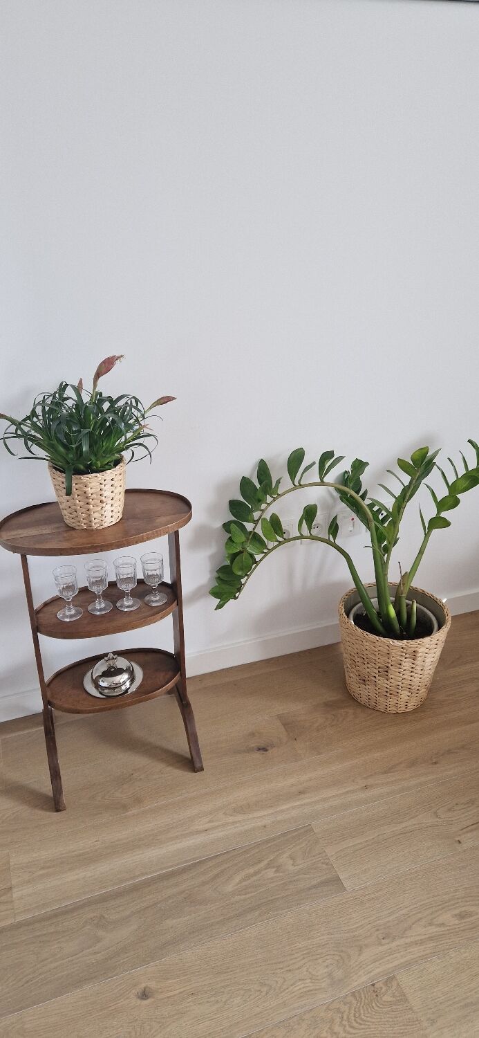 Antique walnut pedestal table furniture