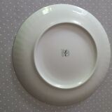 Assiettes plates porcelaine de limoges décor rose candé