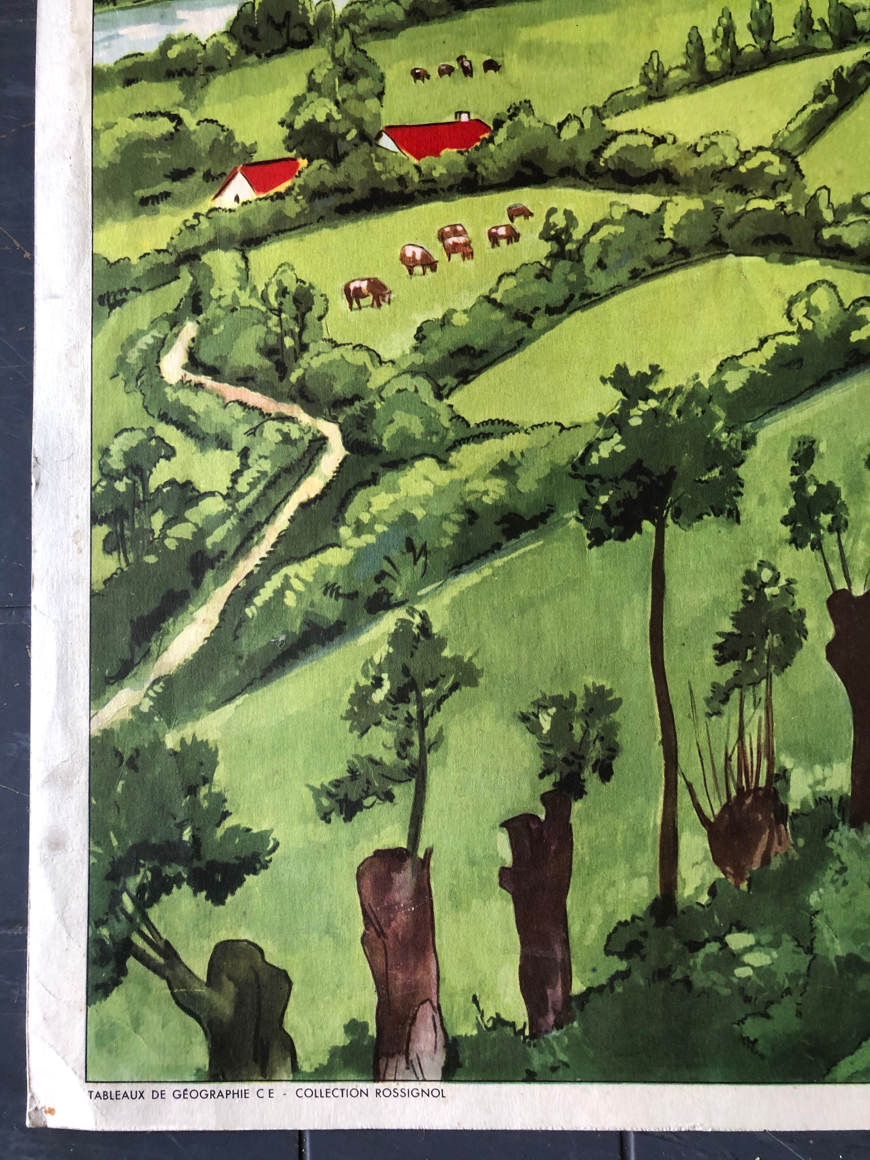 Ancient pedagogical poster