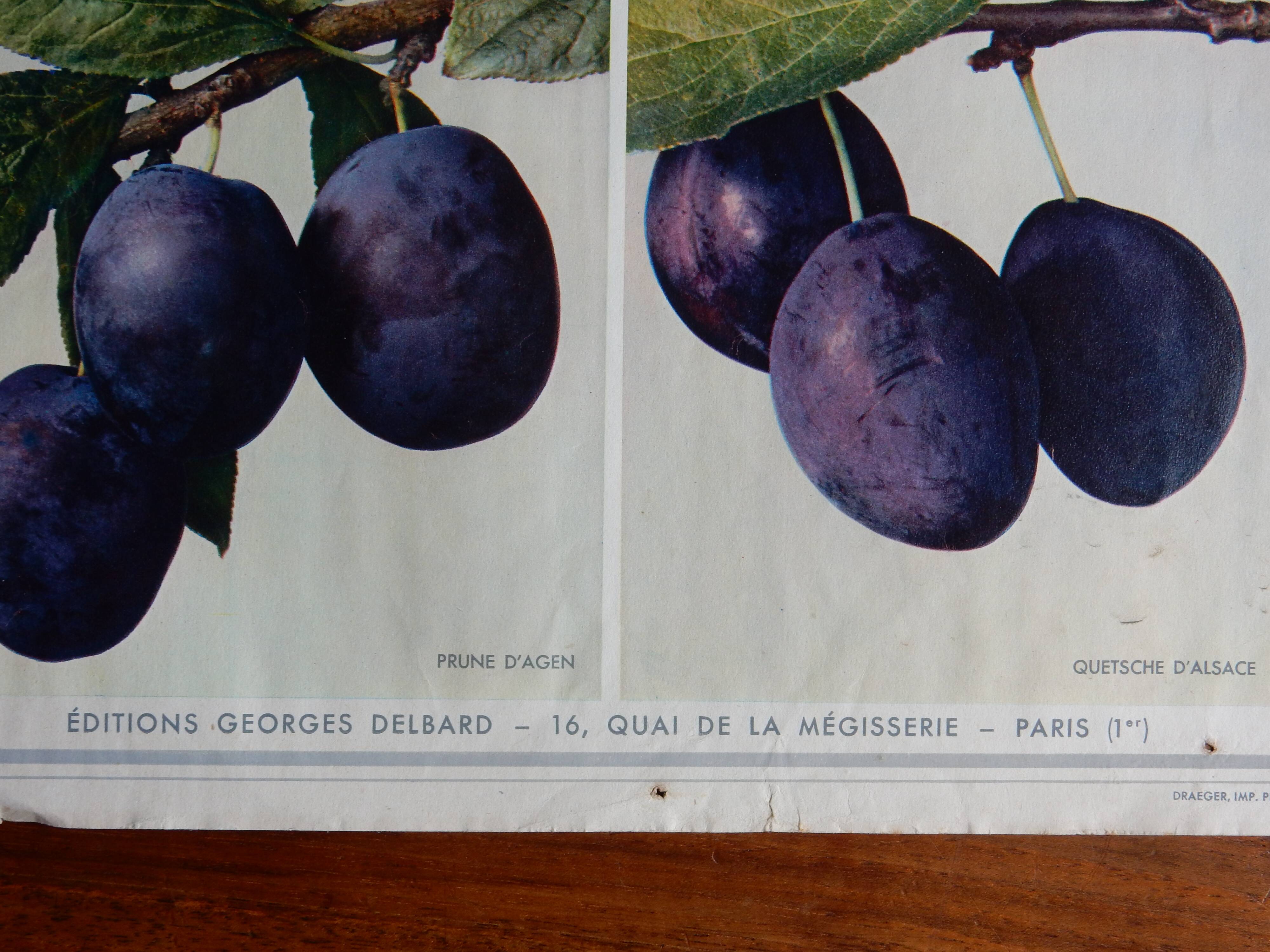 40s poster on plums