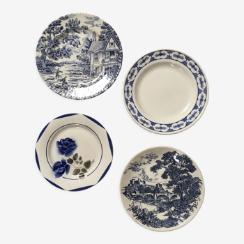 Blue & white mismatched flat plates