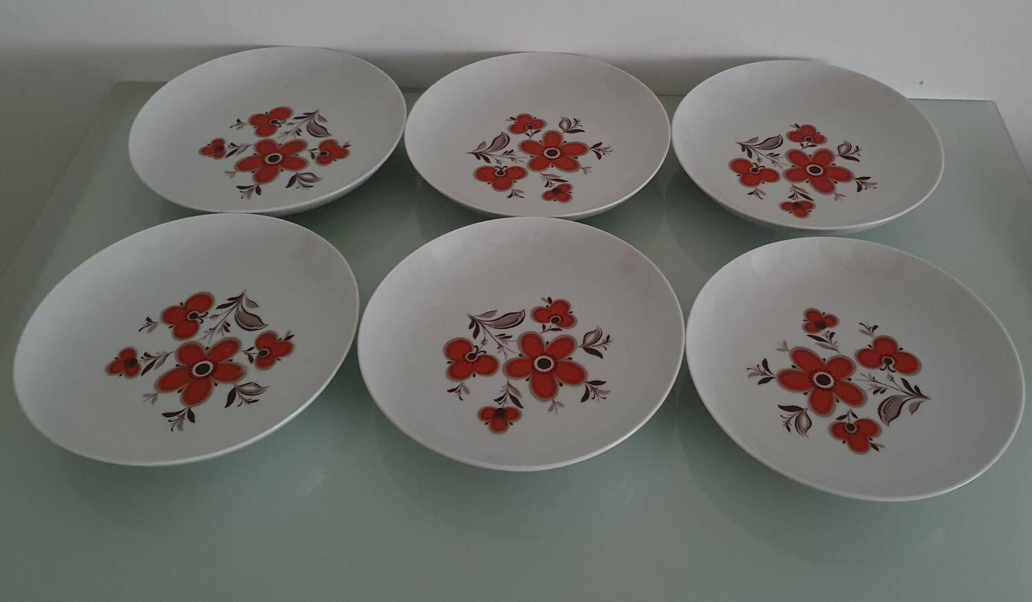 Set of 6 soup plates - Arzberg Earthenware - 1960/70