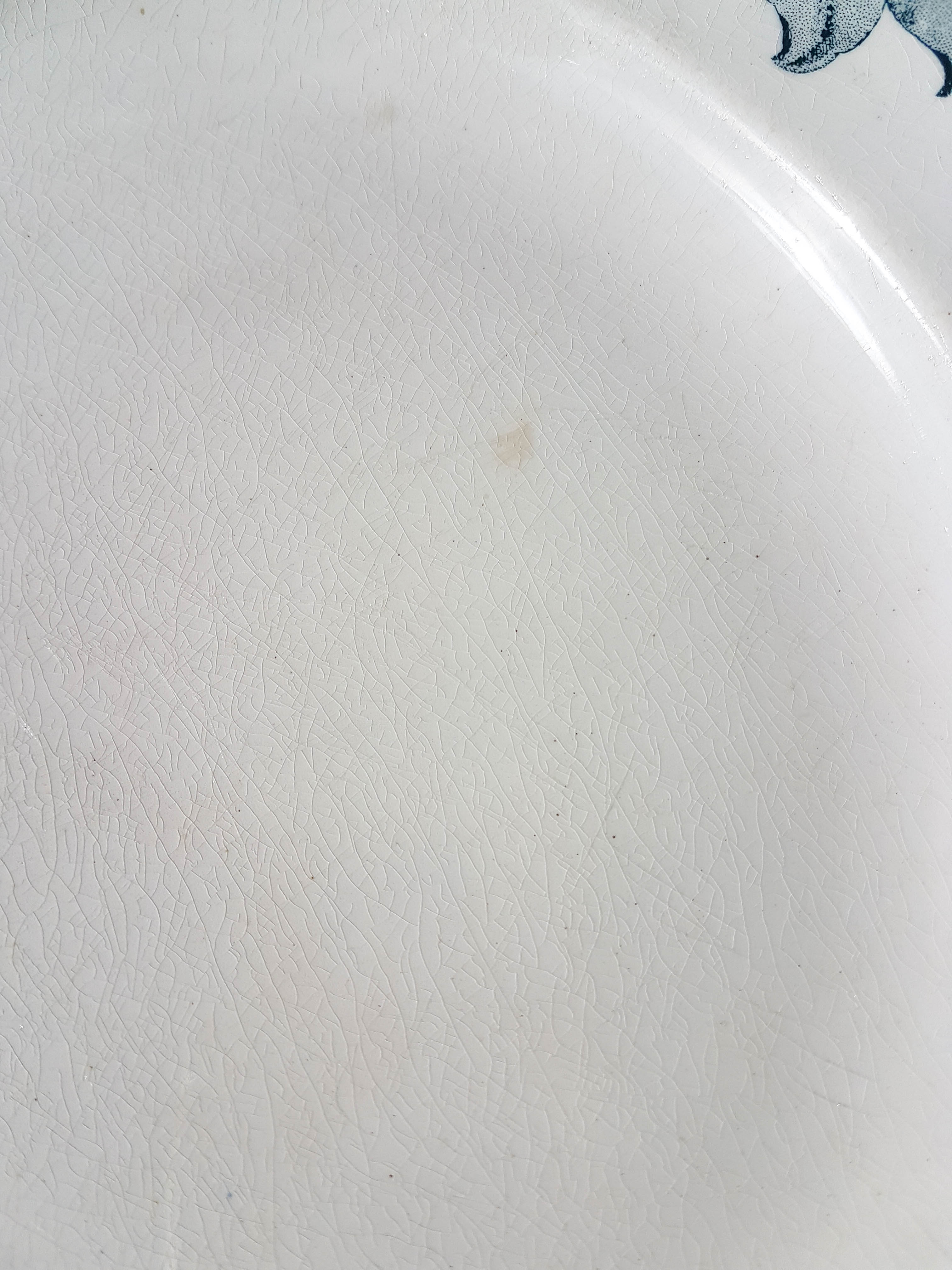 Old Luneville Poitou dish