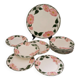 Set of 12 dessert plates + 1 cake plate Villeroy & Boch “Wild Rose”