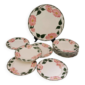 lot 12 assiettes à dessert  + 1 plat à gâteau  Villeroy  & Boch  ”Wild Rose”