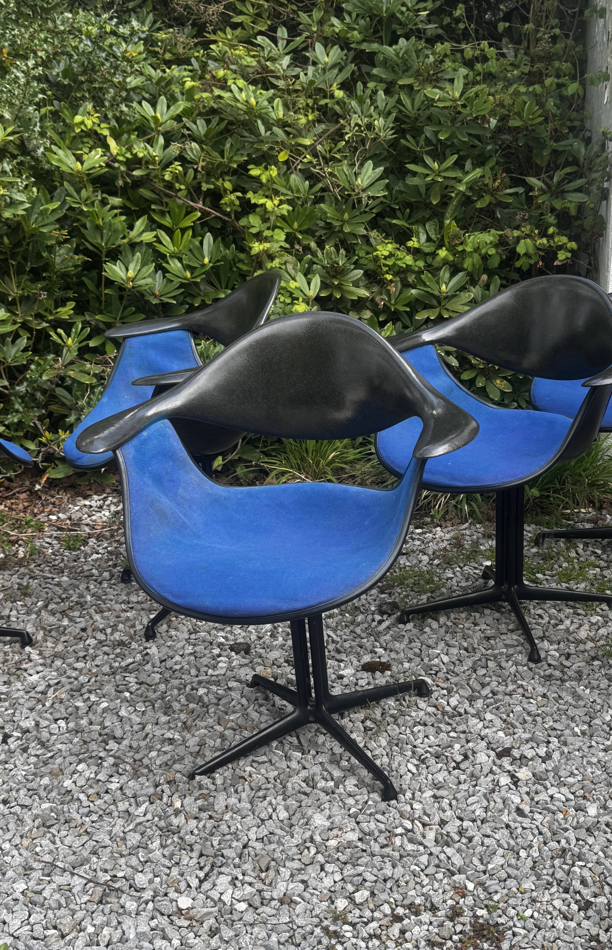 Exceptional series of 6 DAF armchairs.