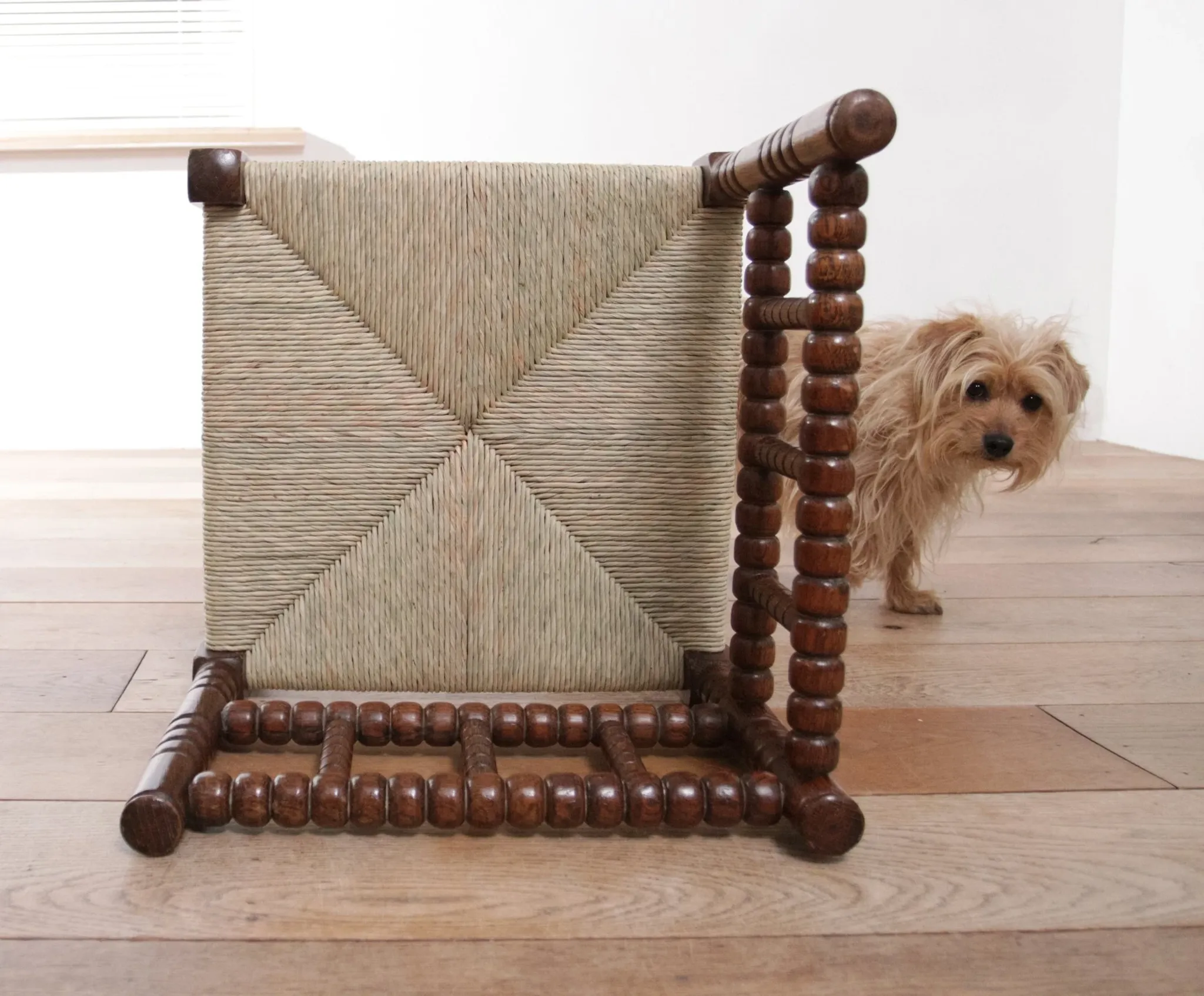 Antique Dutch oak corner chair with turned spindles and new rush seat