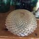 Molded glass ceiling light