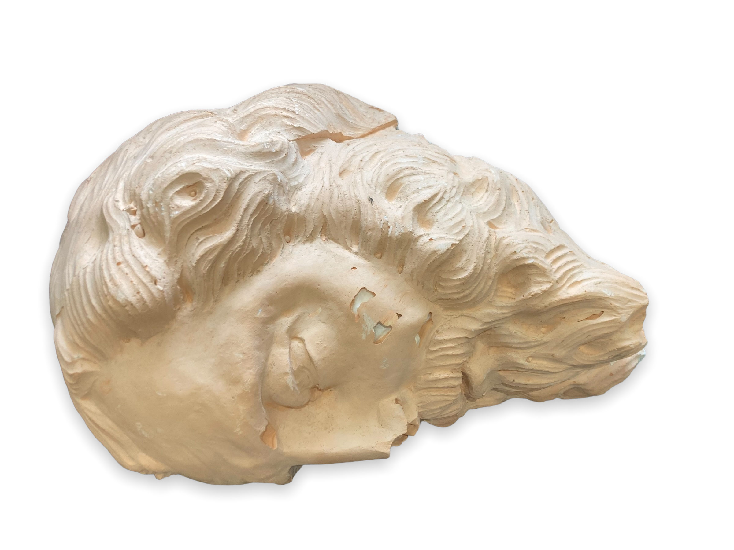 Antique style plaster head